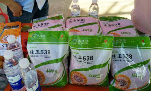 佳玉538种子